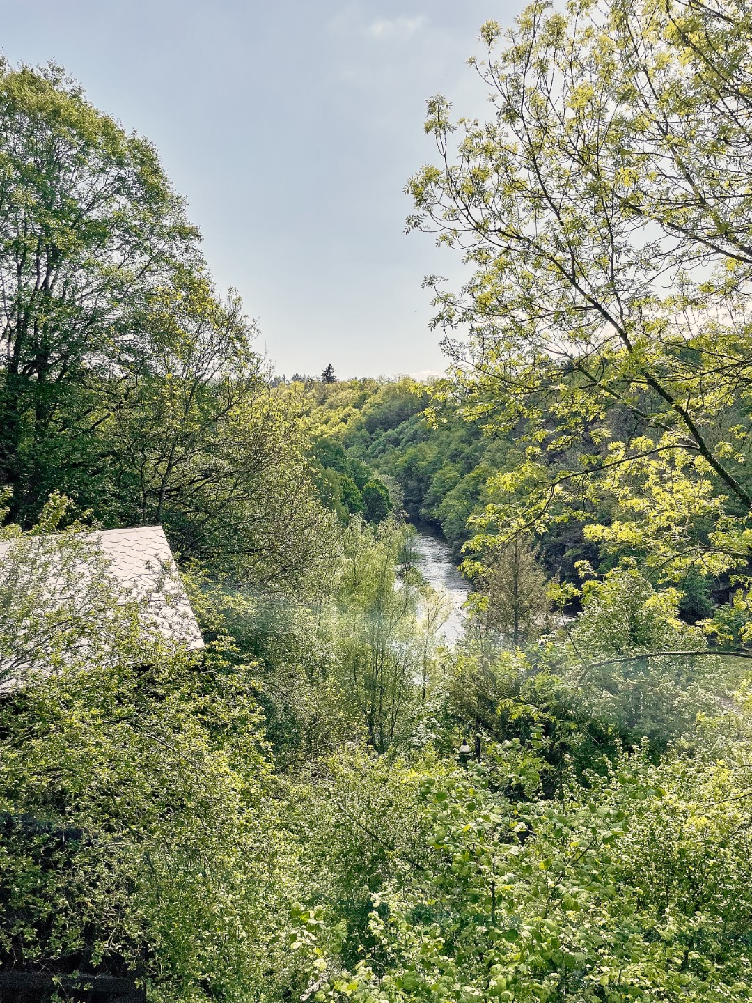 valley view La Roche-en-Ardenne