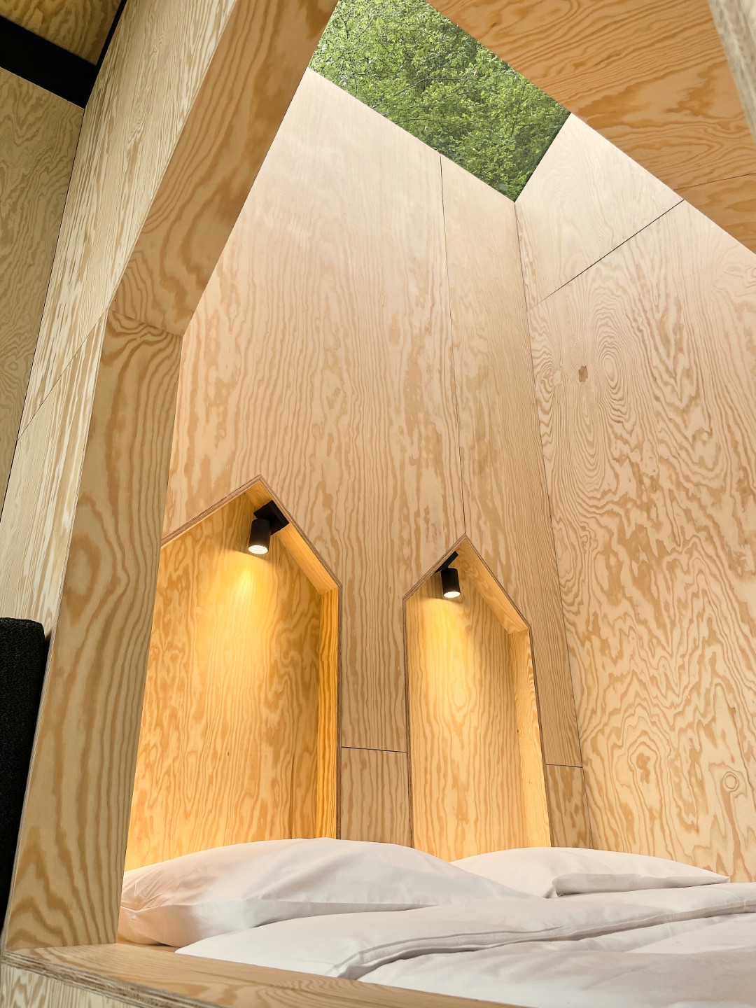 bedroom with glass roof