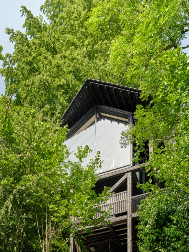 cabin in the ardennes surrounded by trees