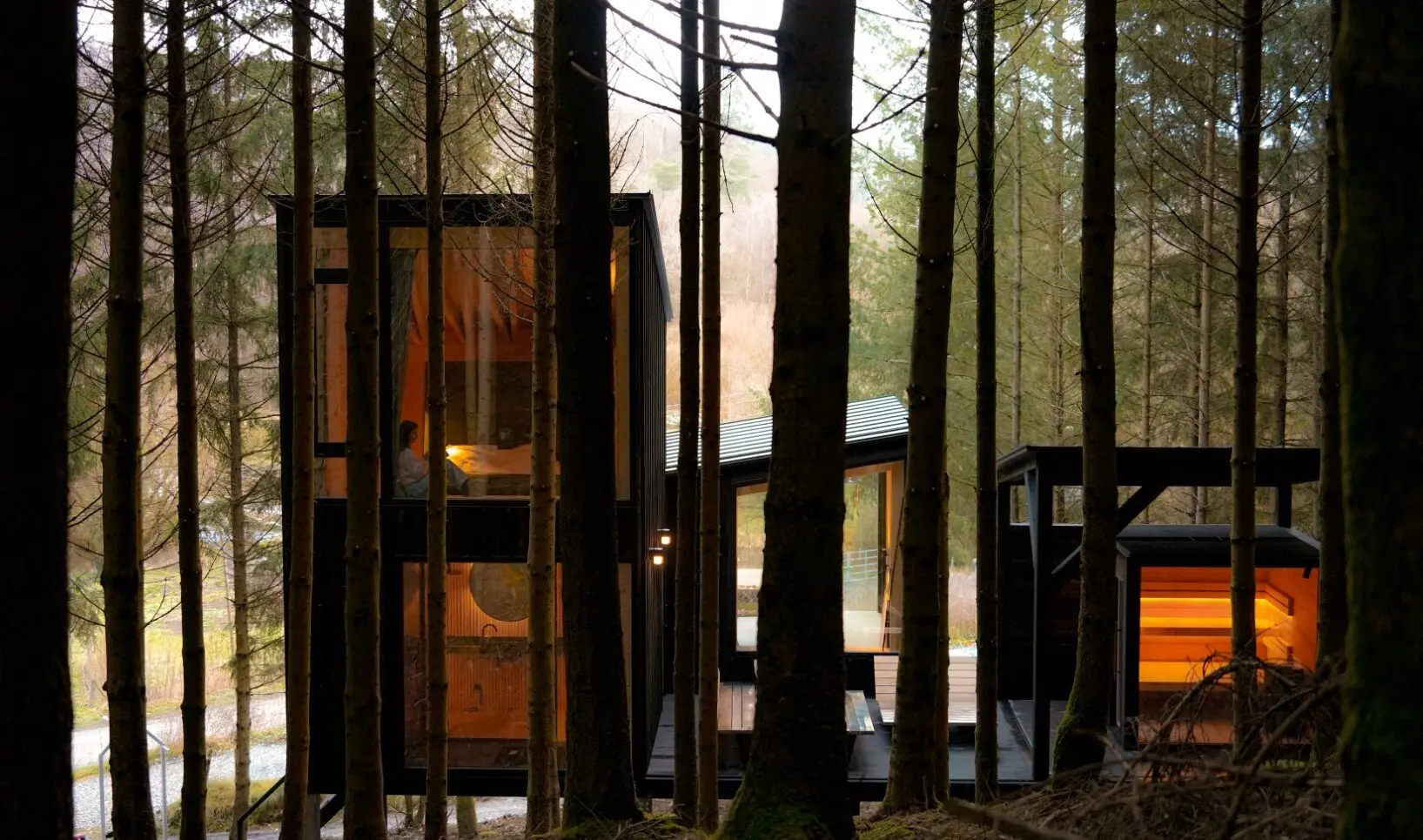 cabin in a forest