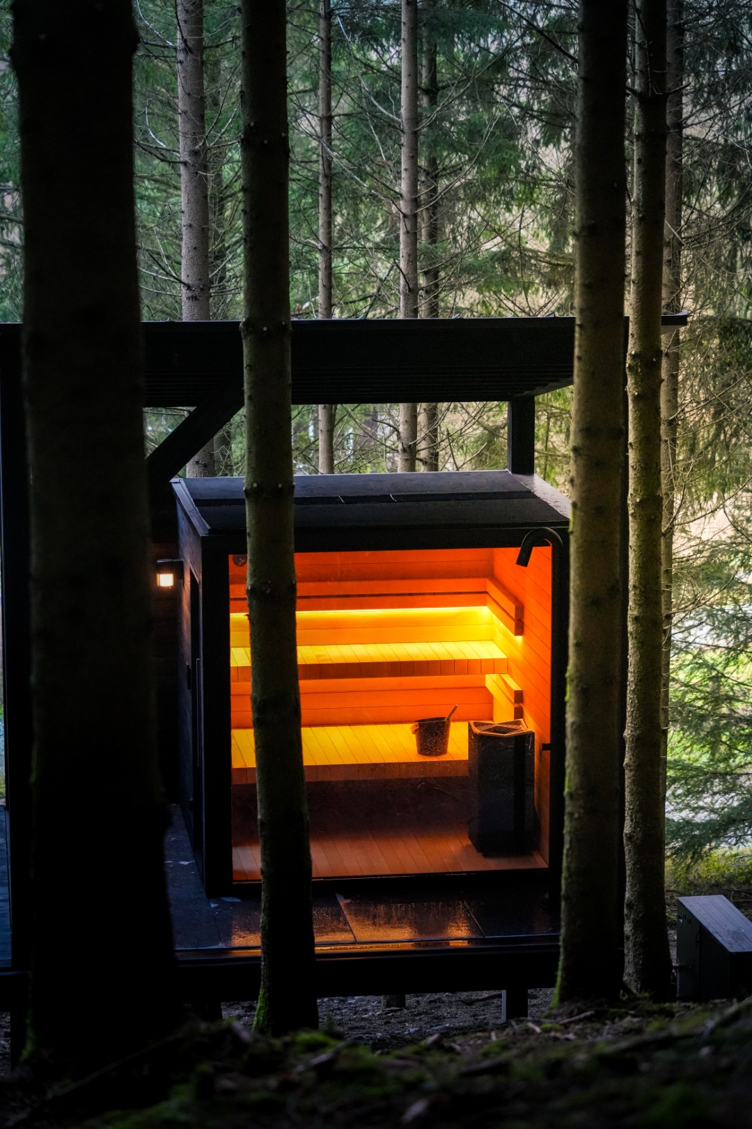 sauna in the woods