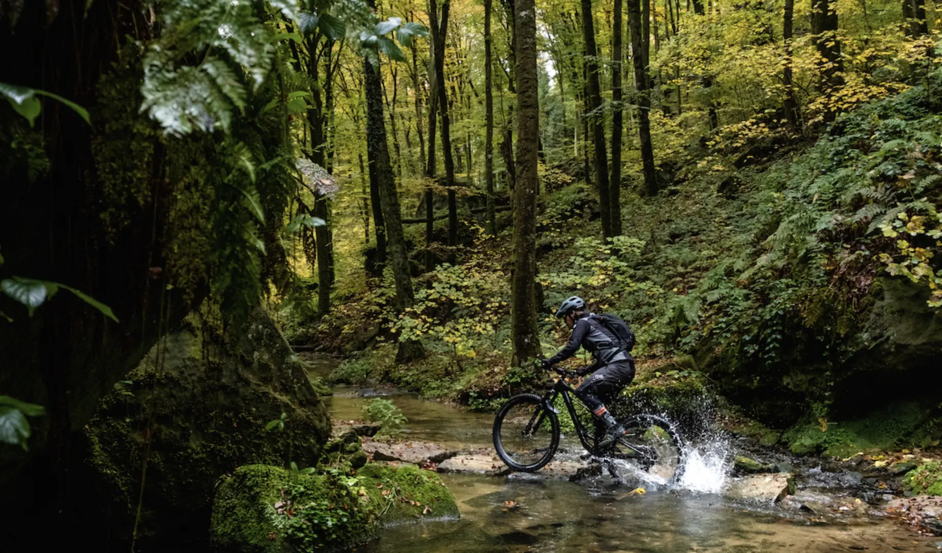 mountainbike in forest